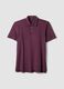 Purple slim-fit short-sleeve pure cotton polo shirt_0