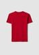 Boys' Regular Fit Pure Cotton Red T-shirt with Print_1
