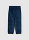 Children's Blue Regular Fit Trousers_1