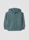 Green organic cotton hooded sweatshirt, oversized fit, for boys_0