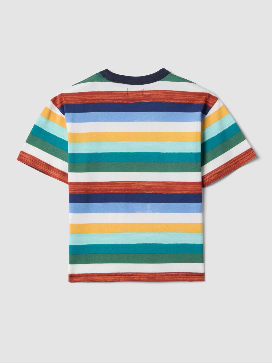 Boys' Regular Fit Multicoloured Striped Pure Cotton T-shirt_4
