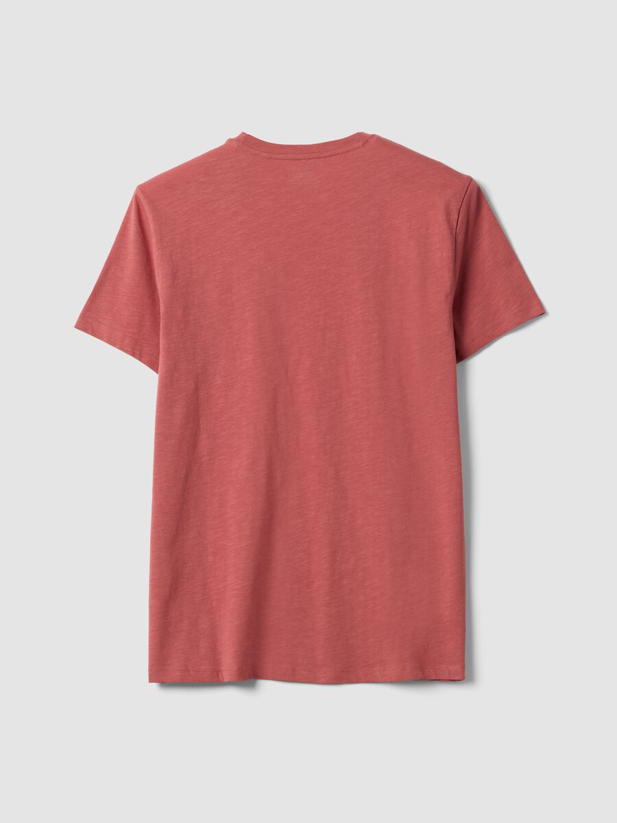 Pink pure cotton regular-fit short-sleeve T-shirt_1