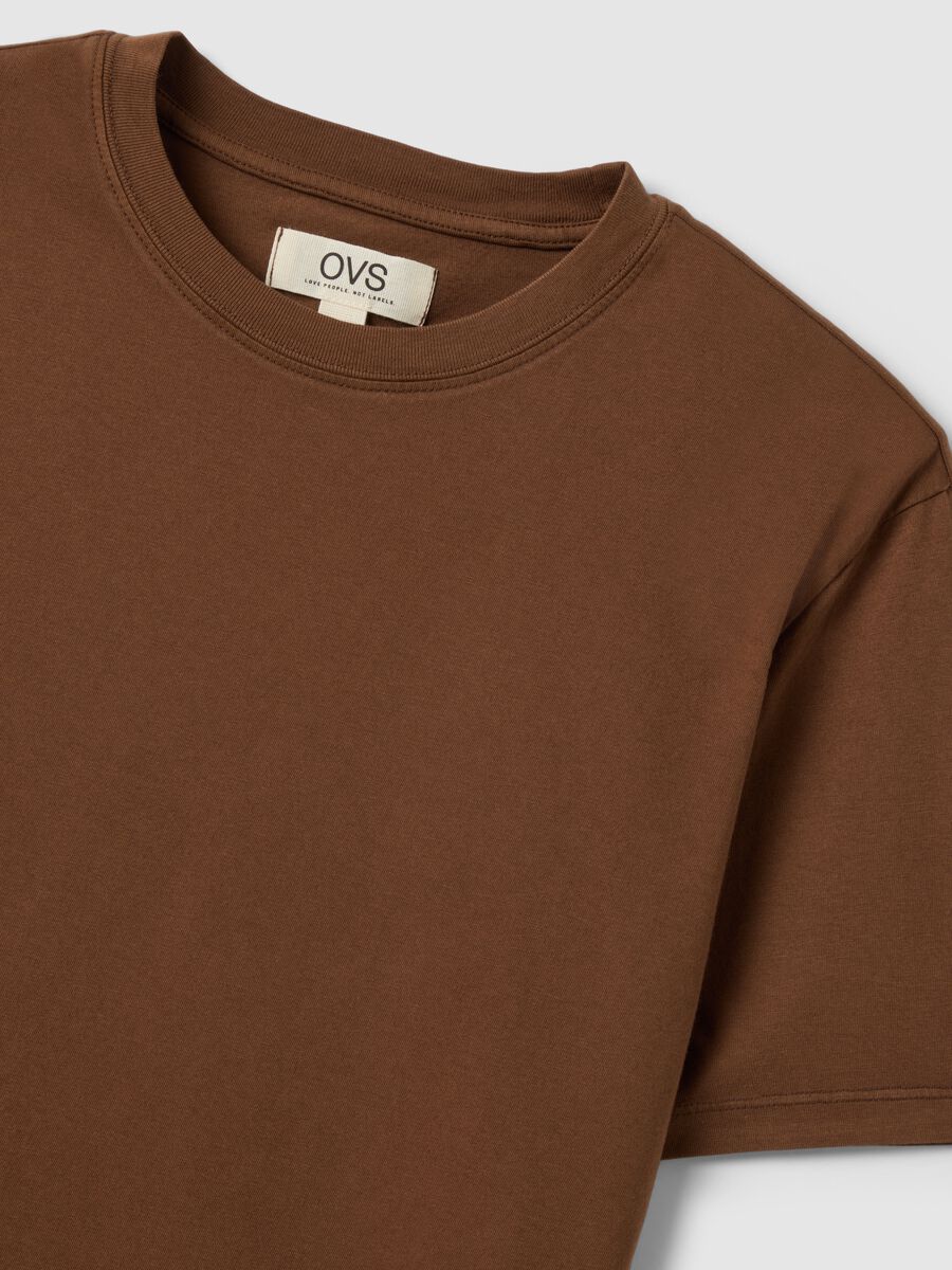Brown crew neck pure cotton regular fit t-shirt_1