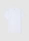 White pure cotton regular fit t-shirt_4