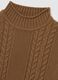 Brown Regular Fit Knitted Jumper_5