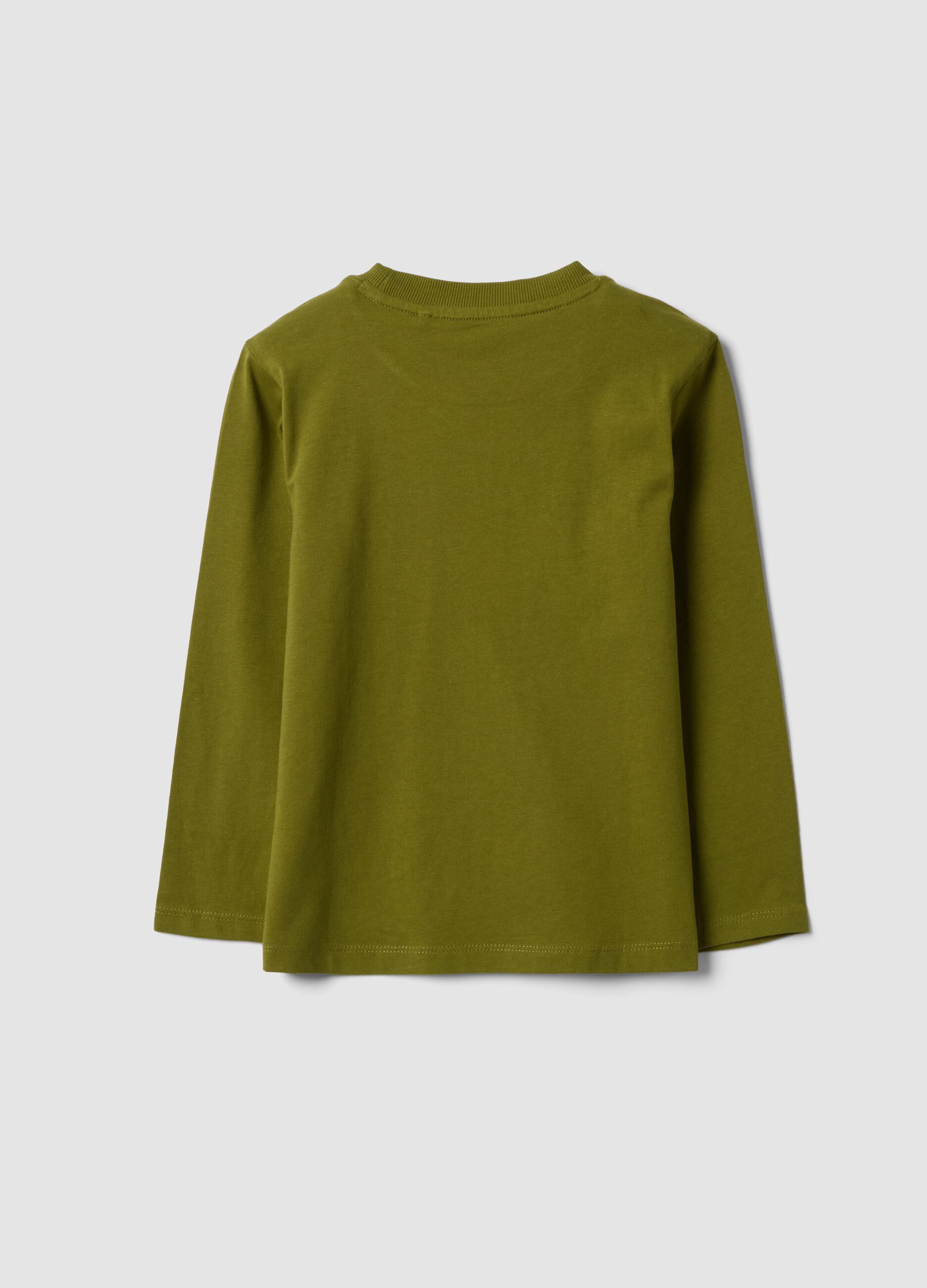 Gr&uuml;nes Langarm-T-Shirt aus Bio-Baumwolle