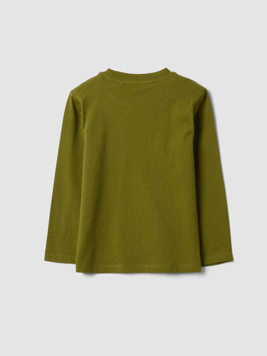 Gr&uuml;nes Langarm-T-Shirt aus Bio-Baumwolle_1