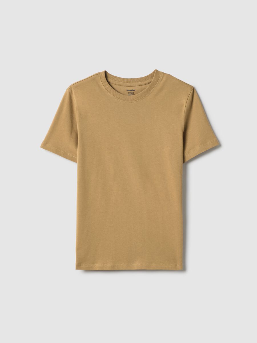 Brown pure cotton regular fit T-shirt_4