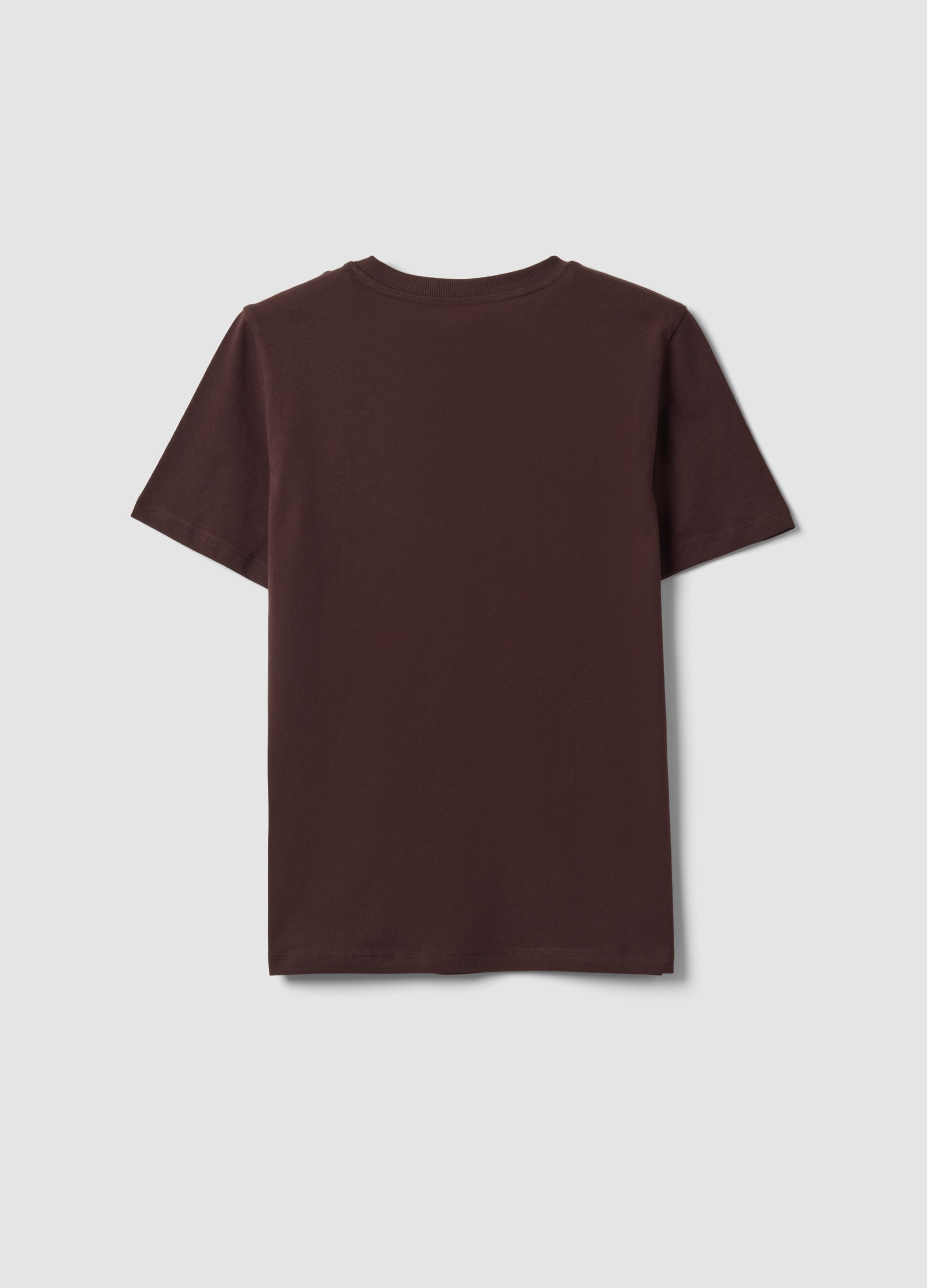 Braunes T-Shirt aus reiner Bio-Baumwolle mit Rundhalsausschnitt, Regular Fit