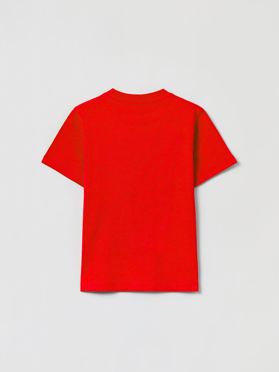 Cotton T-shirt with plane print_1