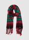 Multicoloured checked scarf with fringes_0