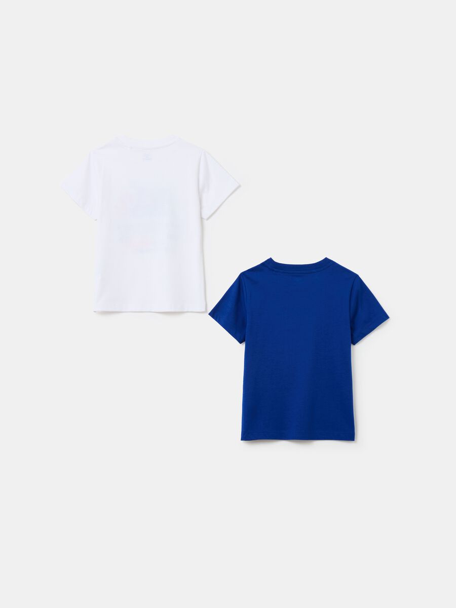 Two-pack T-shirts in cotton with print_1