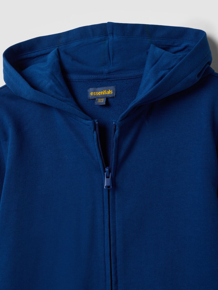 Blue boys&rsquo; organic cotton hoodie, regular fit_2