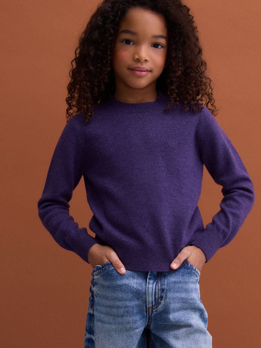 Violetter Pullover aus reiner Wolle mit langen &Auml;rmeln, Regular Fit_0