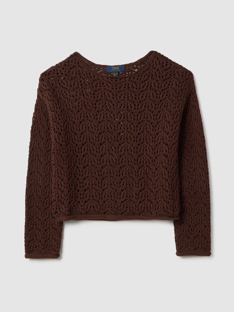 Brown pure cotton sweater with perforated pattern, regular fit_0