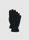 Blue Fleece Gloves_0