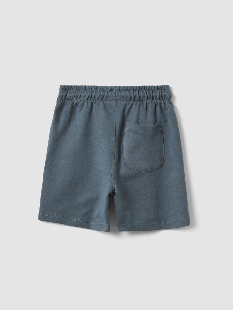 Blue pure cotton regular fit shorts for boys_1