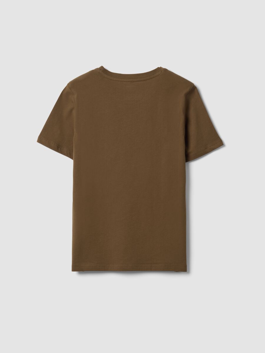 Green crew-neck T-shirt in pure organic cotton, regular fit_1