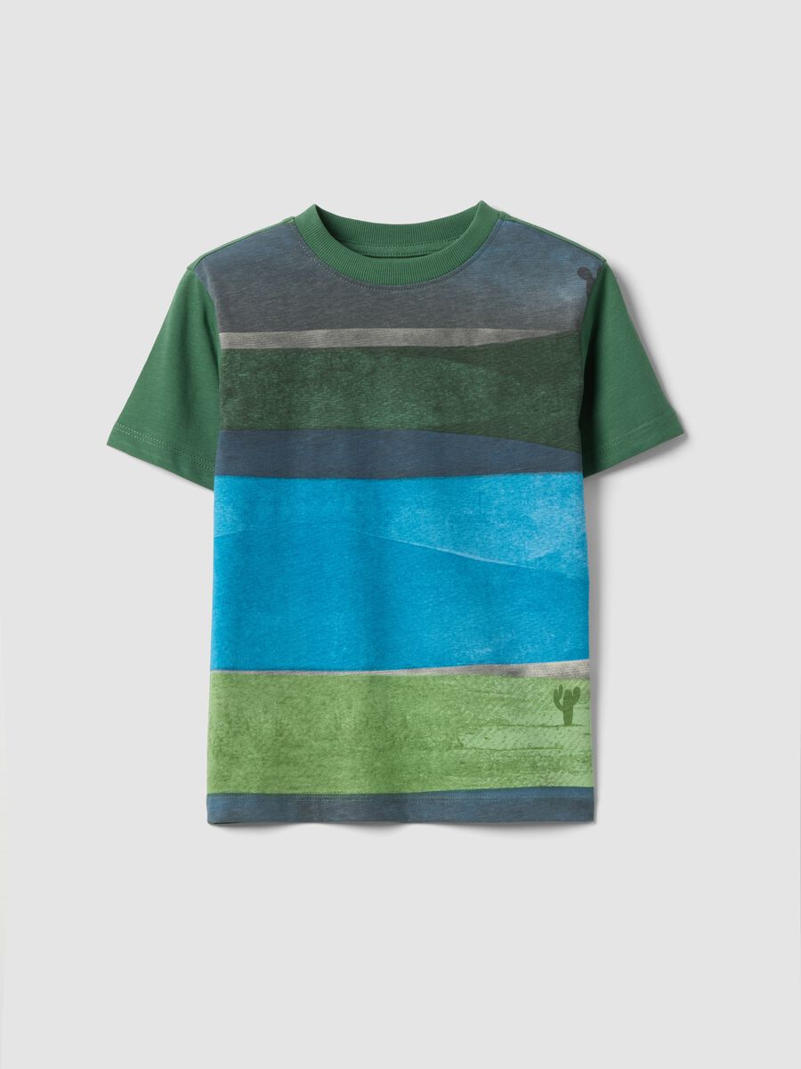 Multicolour striped pure cotton regular fit t-shirt for kids_0