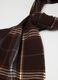 Brown Checked Scarf_1