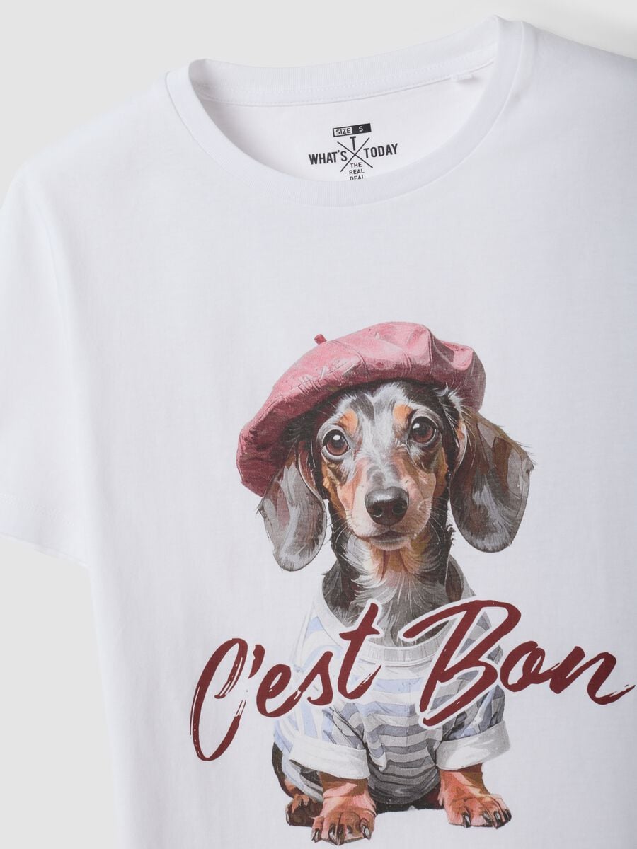 T-shirt bianca in puro cotone jersey e stampa cagnolino regular fit_6