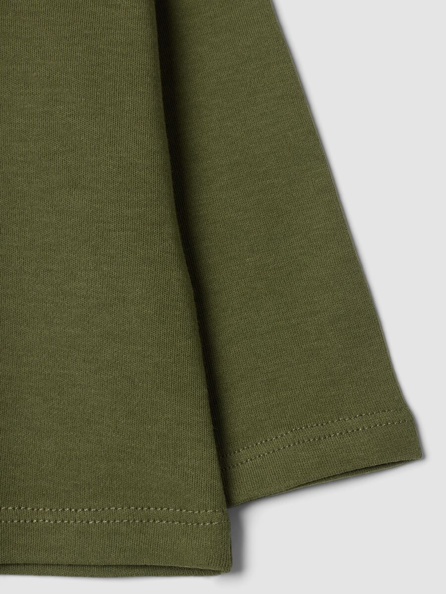 Maglia verde muschio dolcevita in puro cotone organico_3