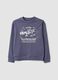 Grey pure cotton sweatshirt with front print for boys, relaxed fit_3