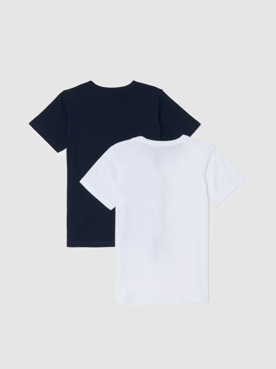 Boy's multicolour cotton regular fit t-shirt twin-pack_1