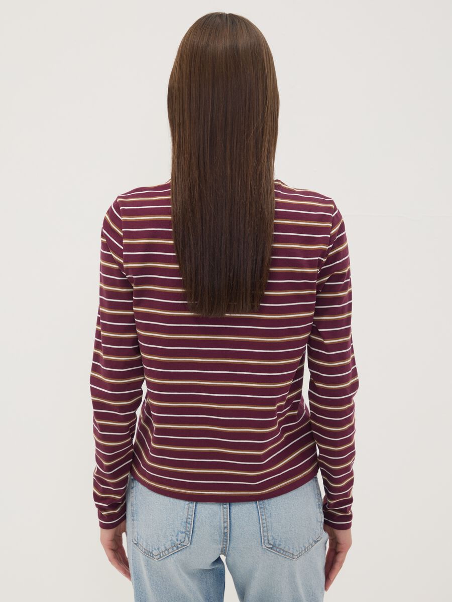 T-shirt multicolor in puro cotone a righe con girocollo regular fit_3