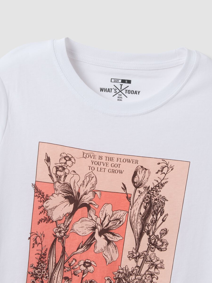 &Lambda;&epsilon;&upsilon;&kappa;ό &kappa;&alpha;&nu;&omicron;&nu;&iota;&kappa;ή&sigmaf; &epsilon;&phi;&alpha;&rho;&mu;&omicron;&gamma;ή&sigmaf; &mu;&pi;&lambda;&omicron;&upsilon;&zeta;ά&kappa;&iota; &alpha;&pi;ό &kappa;&alpha;&theta;&alpha;&rho;ό &beta;&alpha;&mu;&beta;ά&kappa;&iota; &mu;&epsilon; &epsilon;&kappa;&tau;ύ&pi;&omega;&sigma;&eta;_1