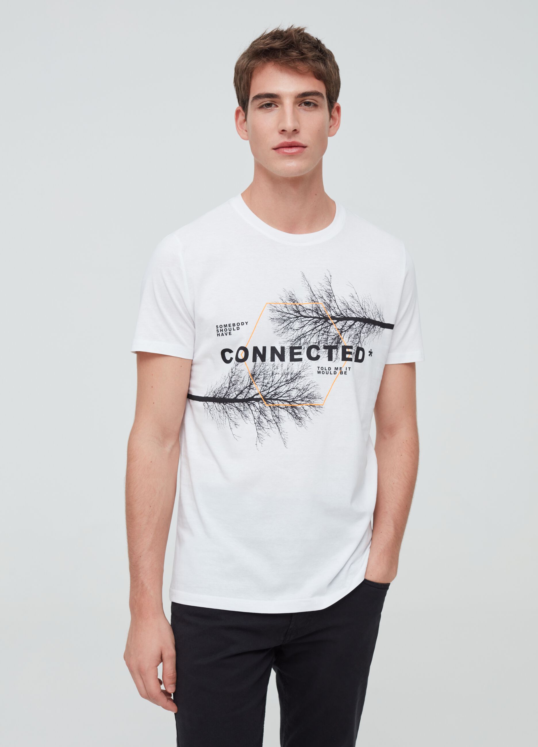 Camiseta de algodón 100% estampado árboles