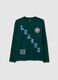 Boys' pure cotton green regular fit jumper_3