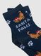 Christmas Socks in Blue Cotton Blend with Print_1