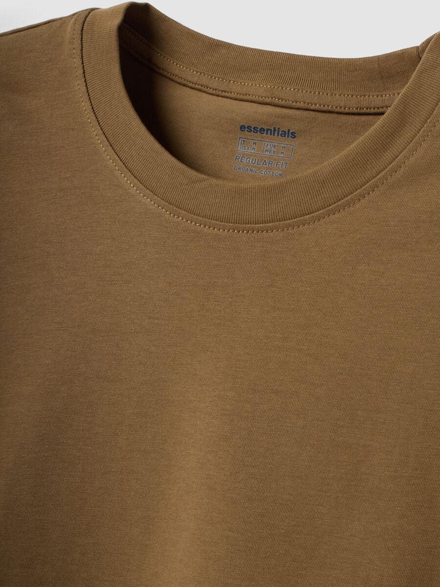 T-shirt marrone in puro cotone organico jersey regular fit_2