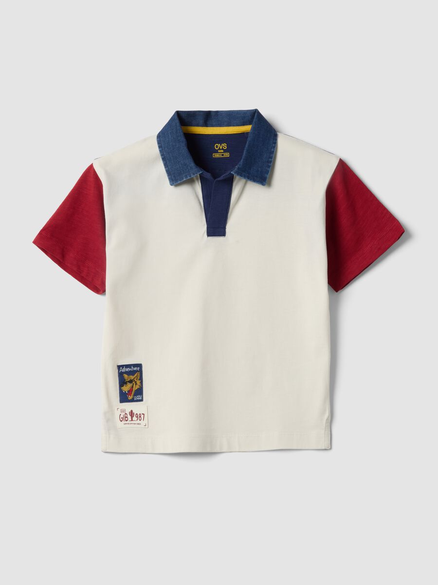 Boys' Multicolour Pure Cotton Polo Shirt &ndash; Oversized Fit_0