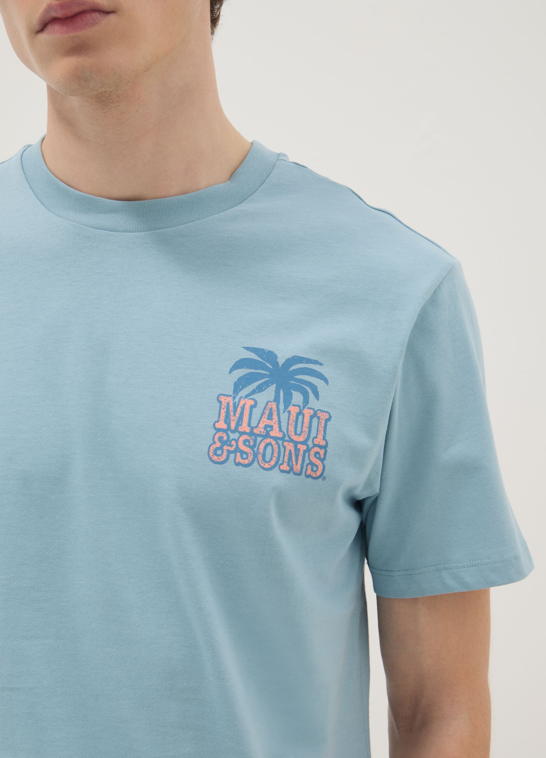 Blue short-sleeve pure cotton T-shirt with print, relaxed fit