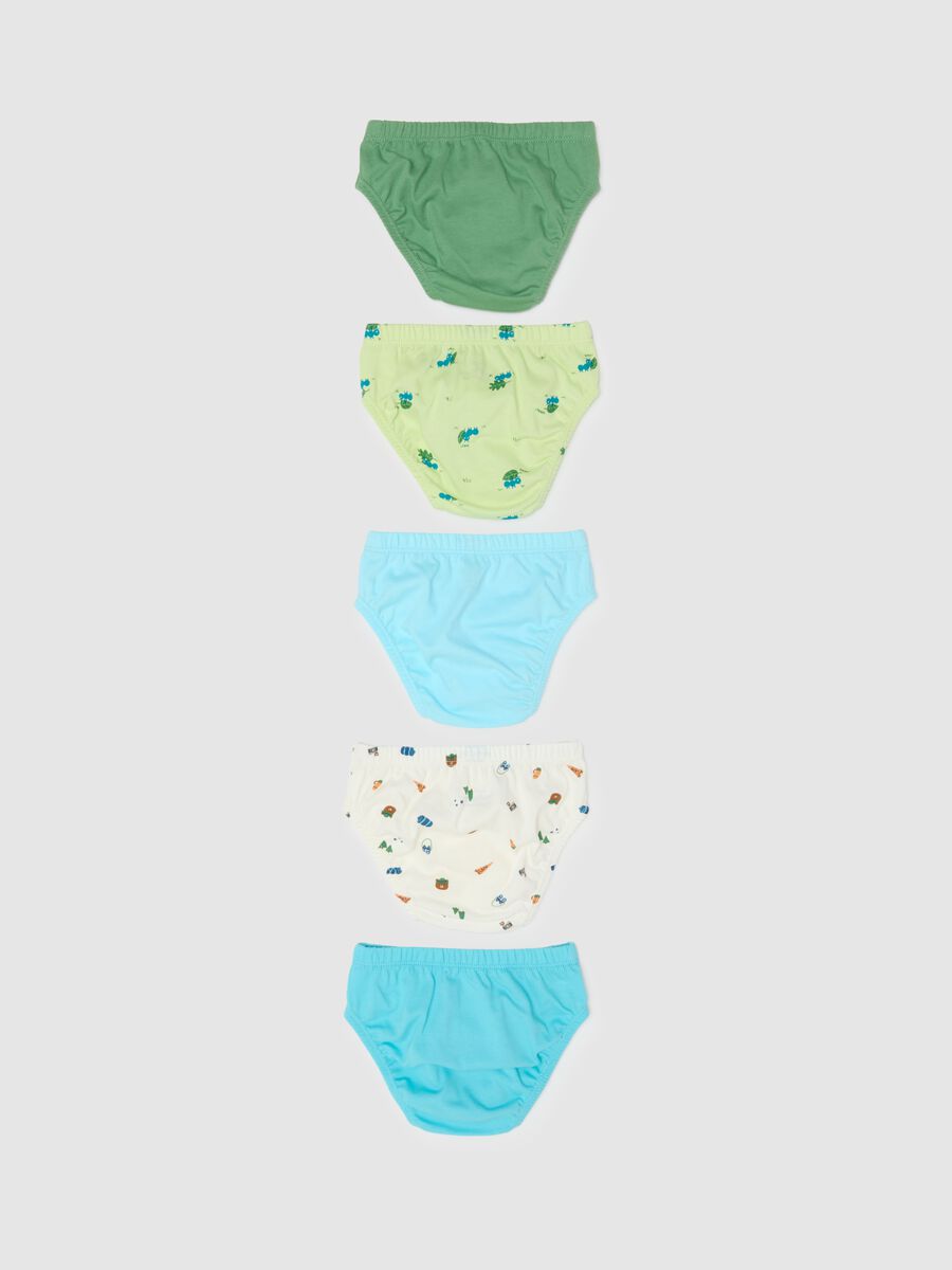 Multipack of pure cotton multicoloured regular fit baby briefs_1