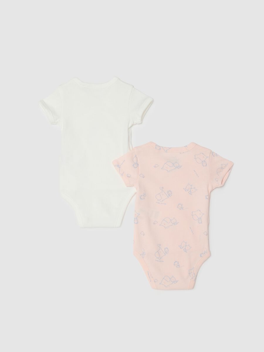 Multicolour pure cotton bodysuit twin pack for baby girls_1
