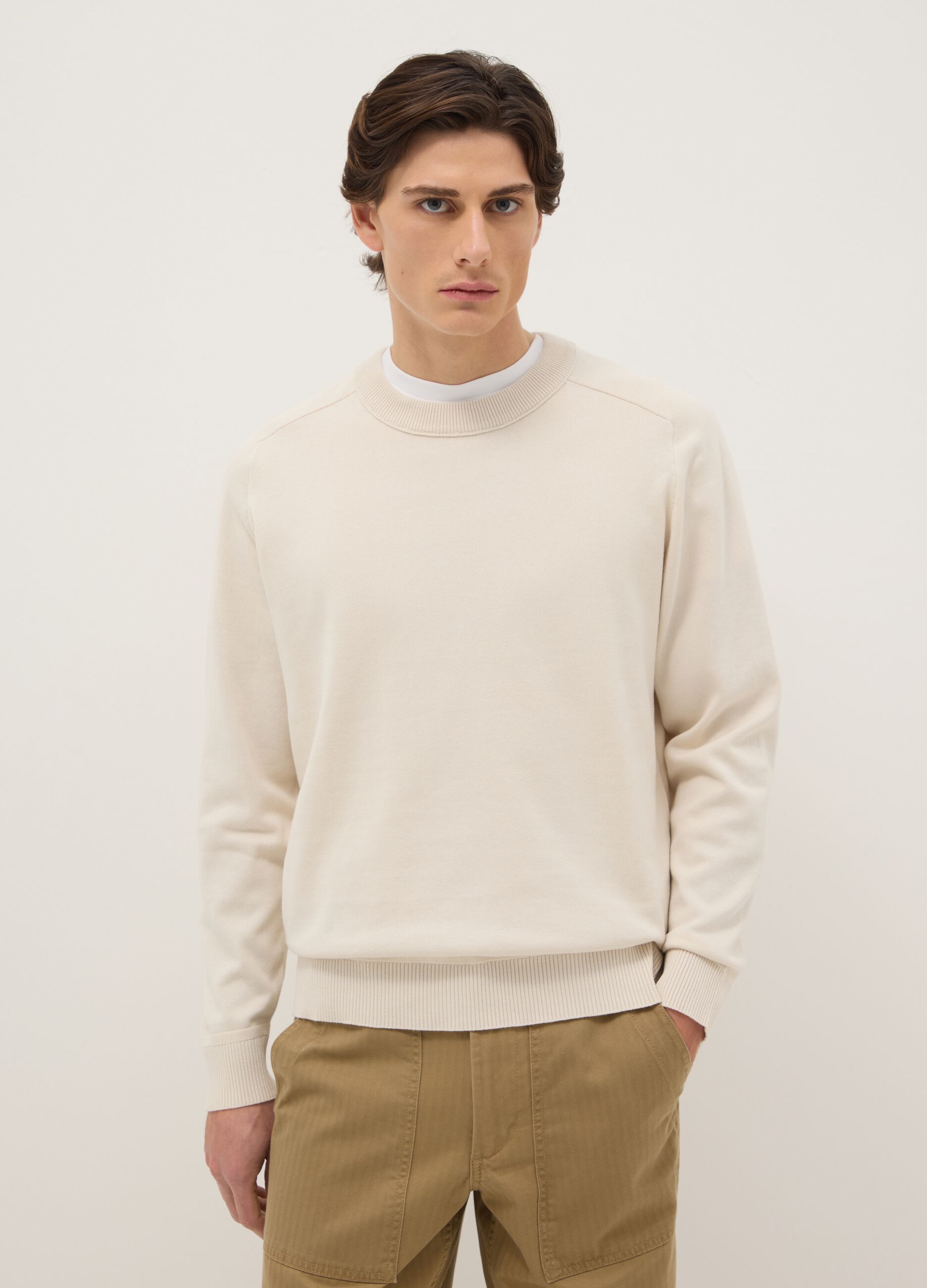 Regular Fit Beige Crew Neck Sweater in Pure Cotton