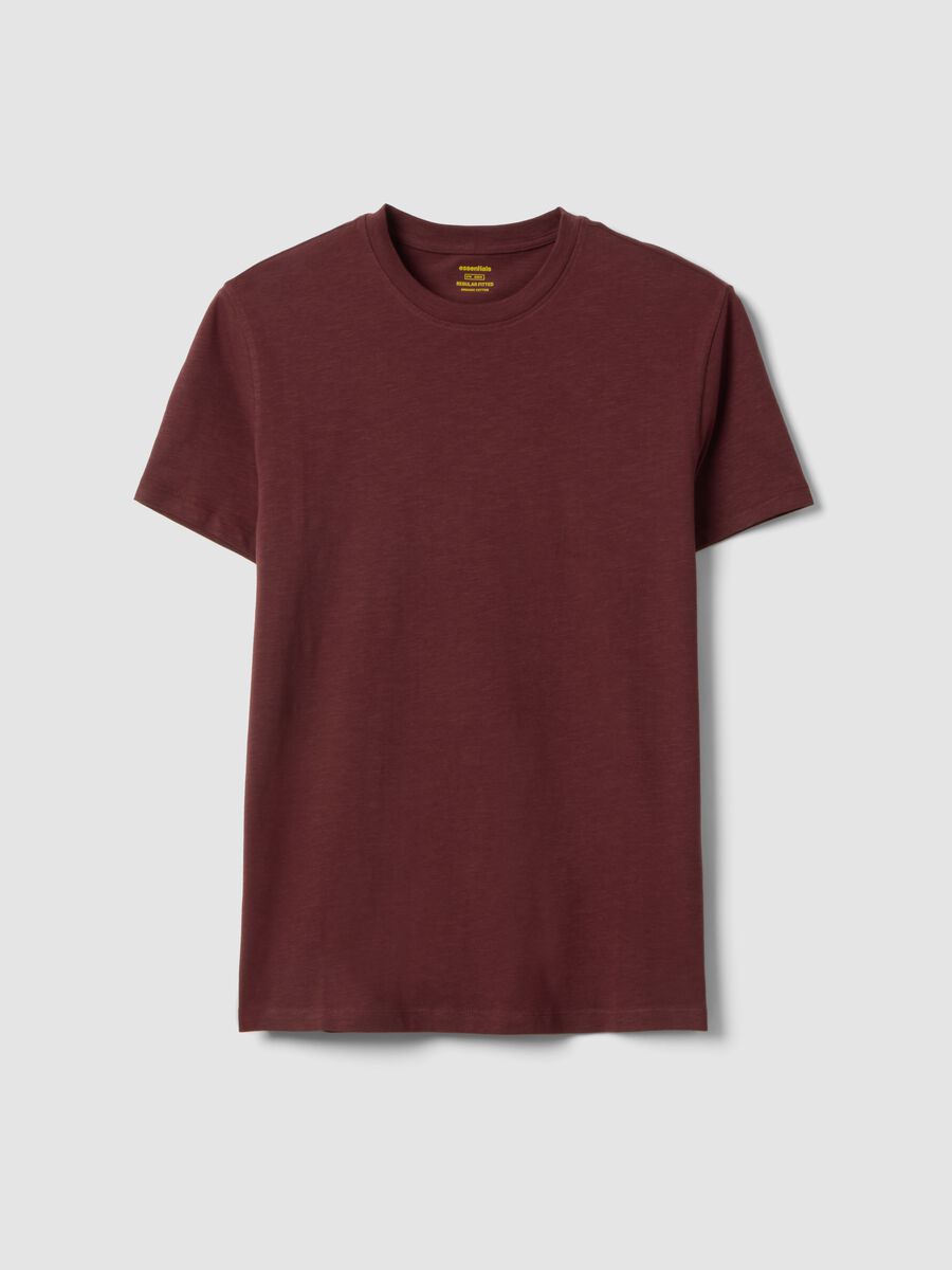 Brown pure cotton short sleeve t-shirt regular fit_4