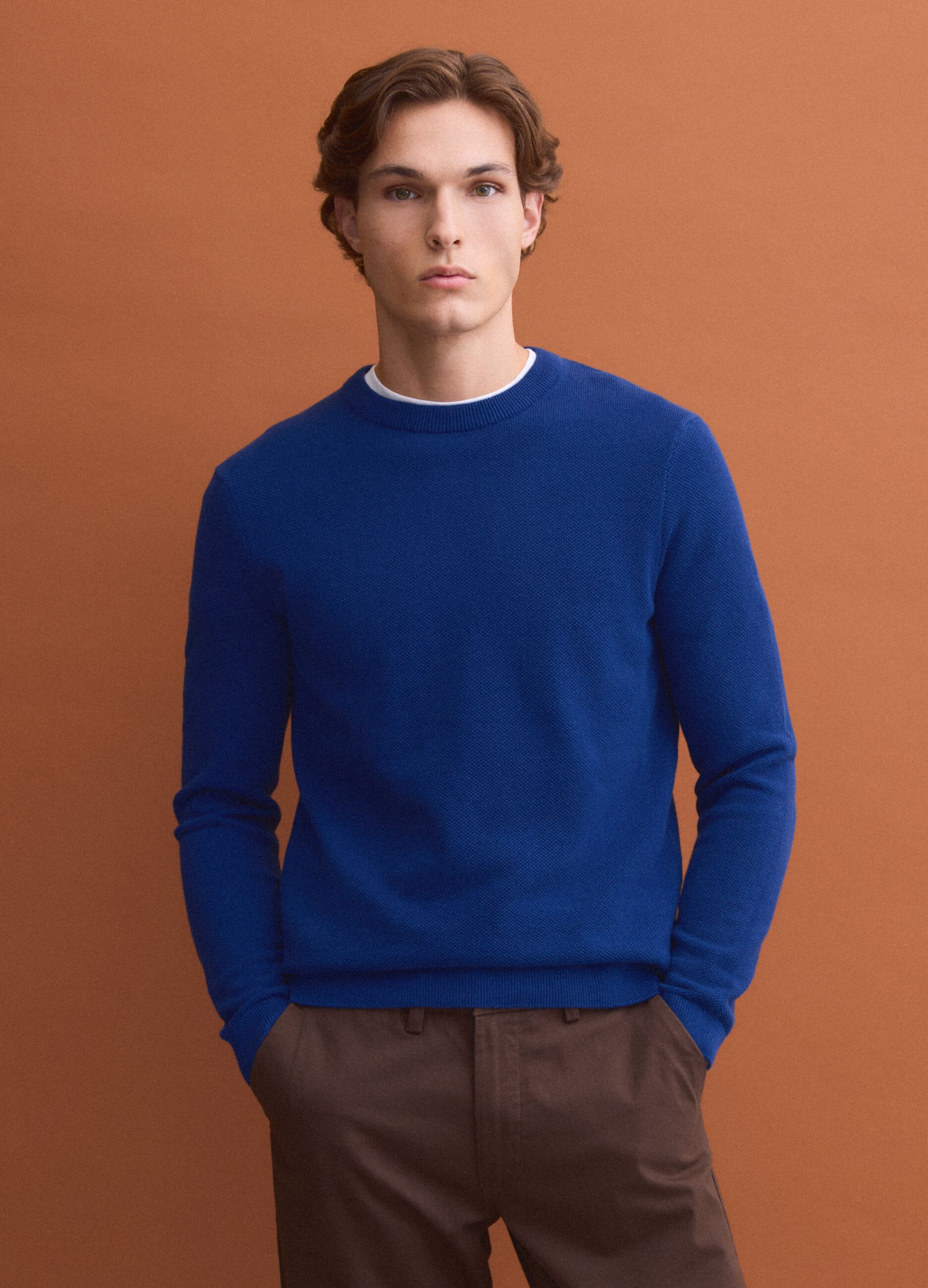 Blue pure cotton crew-neck jumper, regular fit