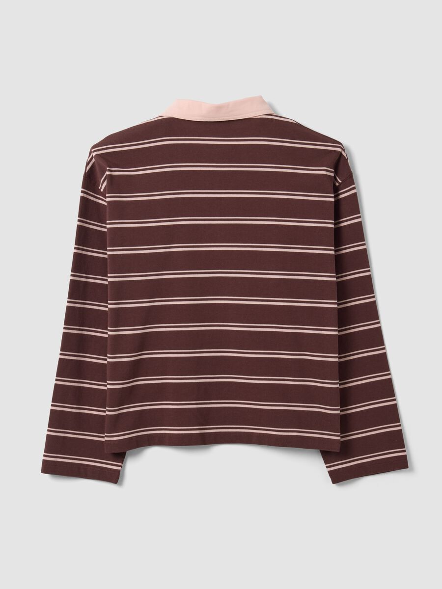 Brown striped long-sleeve pure cotton polo shirt, regular fit_2