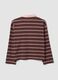 Braunes Polo aus reiner Baumwolle mit Streifen, Langarm, Regular Fit_6
