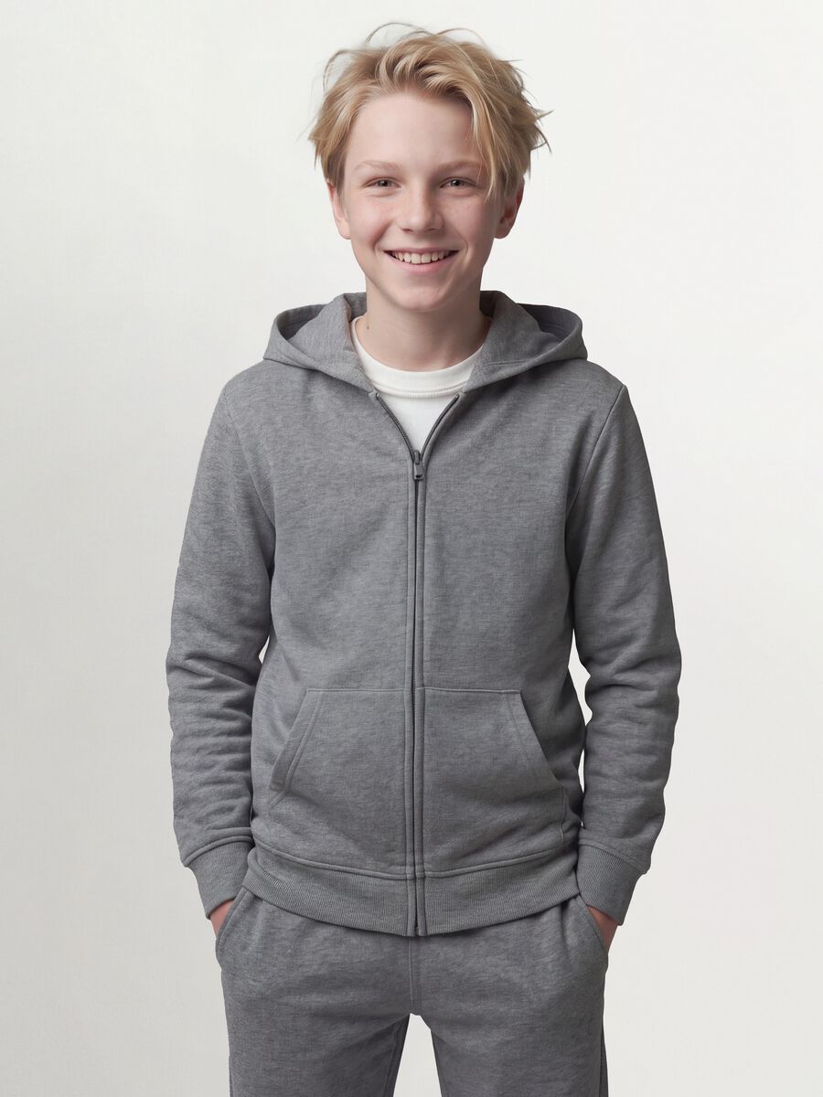 Grey hoodie in pure organic cotton, regular fit_0