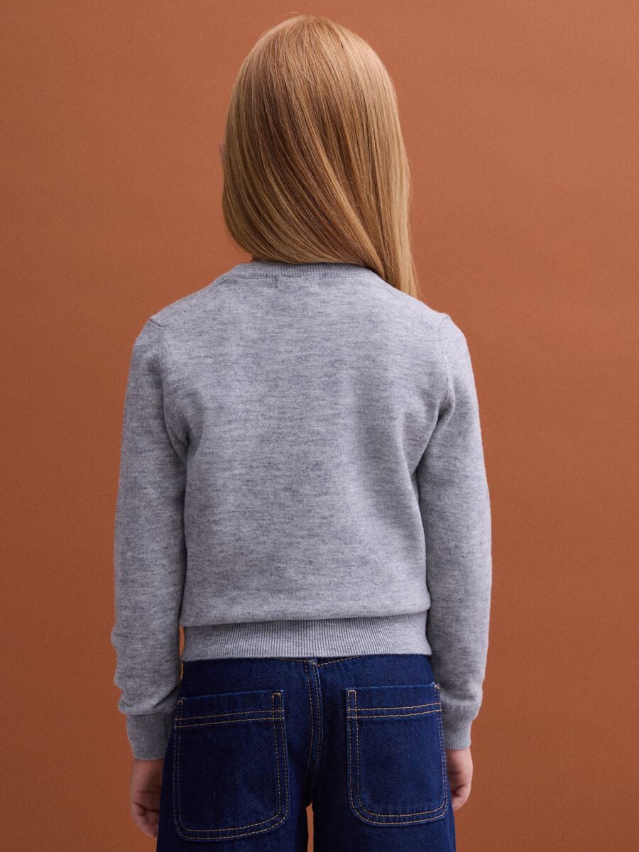 Grey pure wool long-sleeve jumper, regular fit_2