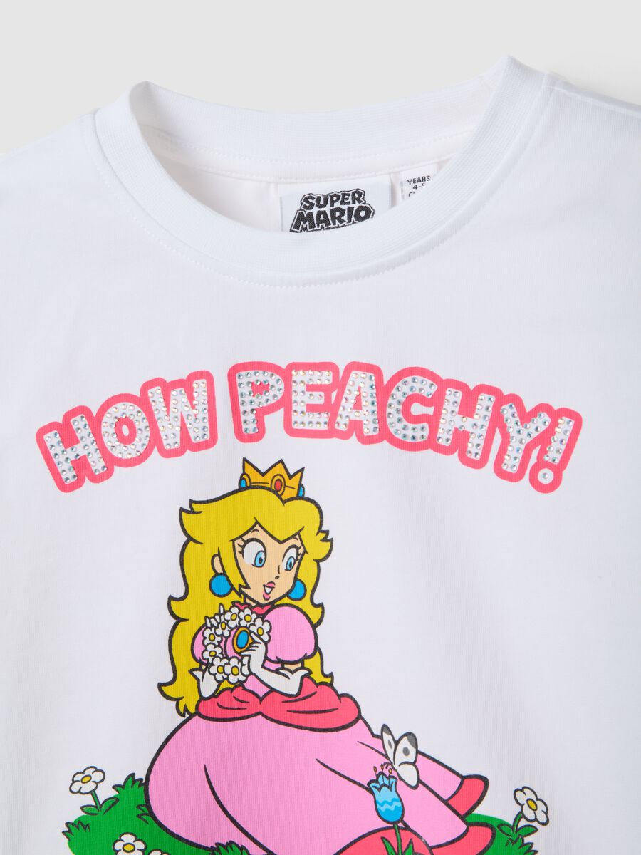 &Pi;&omicron;&lambda;ύ&chi;&rho;&omega;&mu;&omicron; &Sigma;&epsilon;&tau; &alpha;&pi;ό &Epsilon;&lambda;&alpha;&sigma;&tau;&iota;&kappa;ό &Beta;&alpha;&mu;&beta;ά&kappa;&iota; &gamma;&iota;&alpha; &Kappa;&omicron;&rho;ί&tau;&sigma;&iota;&alpha; &mu;&epsilon; &Epsilon;&kappa;&tau;ύ&pi;&omega;&sigma;&eta; Peach_2