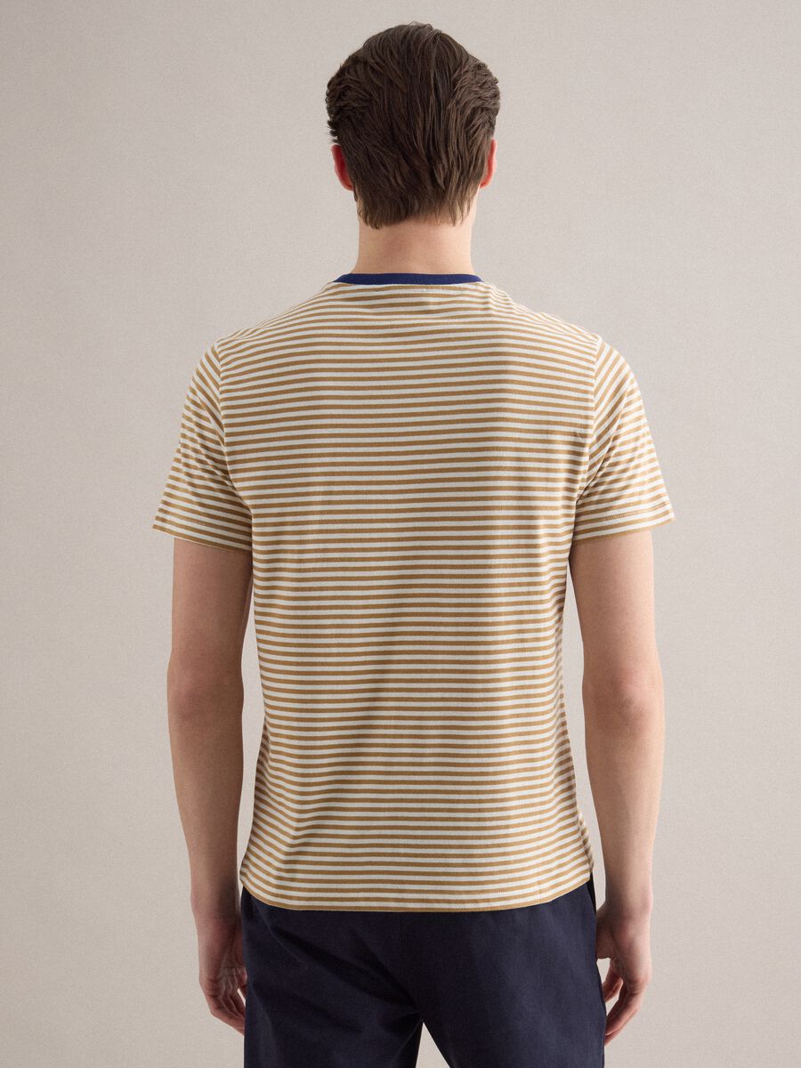 &Mu;&pi;&lambda;&omicron;&upsilon;&zeta;ά&kappa;&iota; &alpha;&pi;ό &kappa;&alpha;&theta;&alpha;&rho;ό &beta;&alpha;&mu;&beta;ά&kappa;&iota; &mu;&epsilon; &pi;&omicron;&lambda;ύ&chi;&rho;&omega;&mu;&epsilon;&sigmaf; &rho;ί&gamma;&epsilon;&sigmaf;, &kappa;&alpha;&nu;&omicron;&nu;&iota;&kappa;ή &epsilon;&phi;&alpha;&rho;&mu;&omicron;&gamma;ή_3