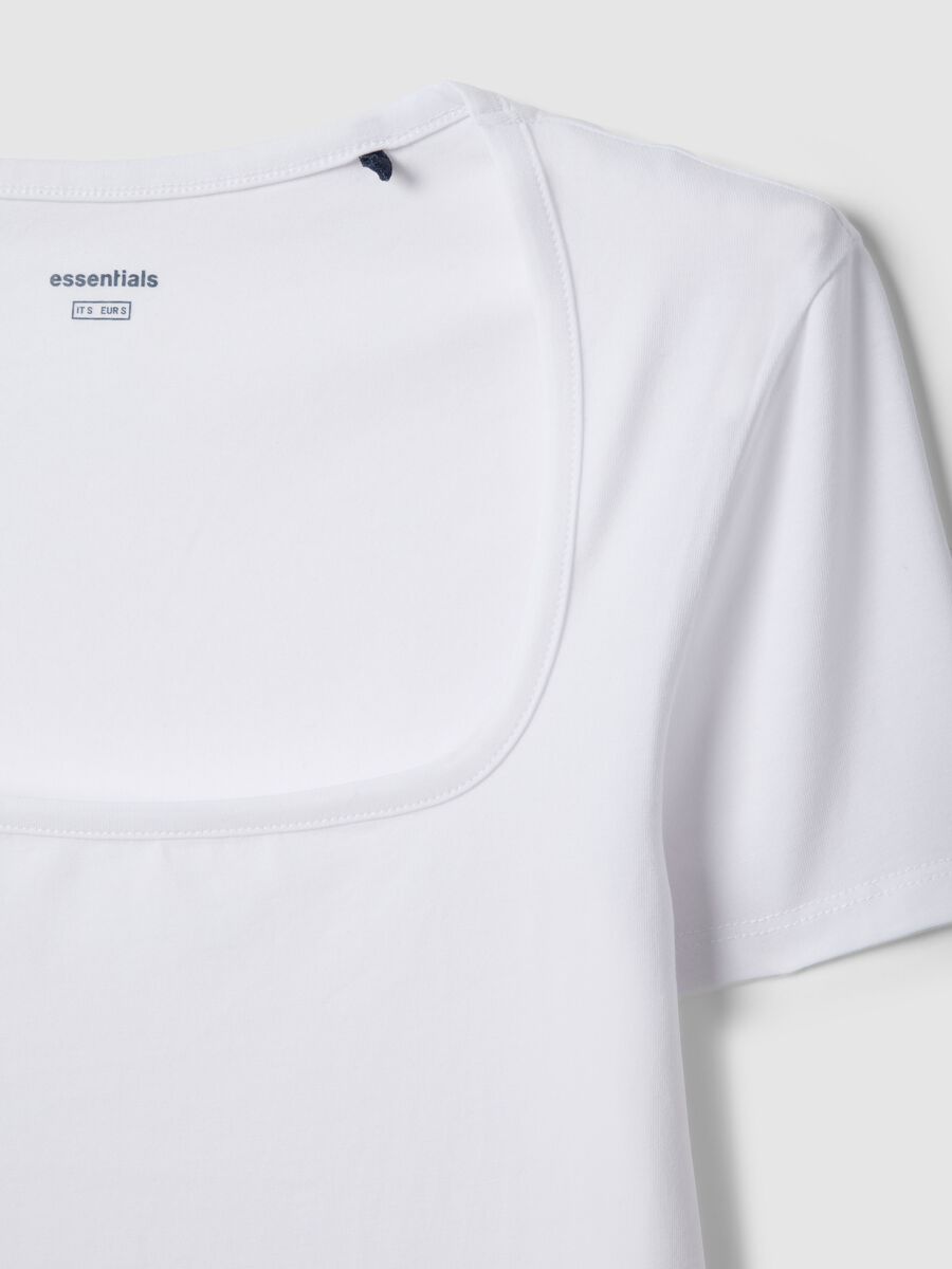 &Lambda;&epsilon;&upsilon;&kappa;ό &kappa;&omicron;&rho;&mu;ά&kappa;&iota; &alpha;&pi;ό &epsilon;&lambda;&alpha;&sigma;&tau;&iota;&kappa;ό &beta;&alpha;&mu;&beta;ά&kappa;&iota;_5