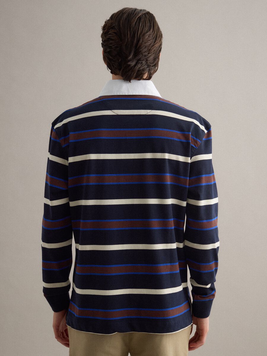 Long sleeve pure cotton polo with multicolour stripes, regular fit_2