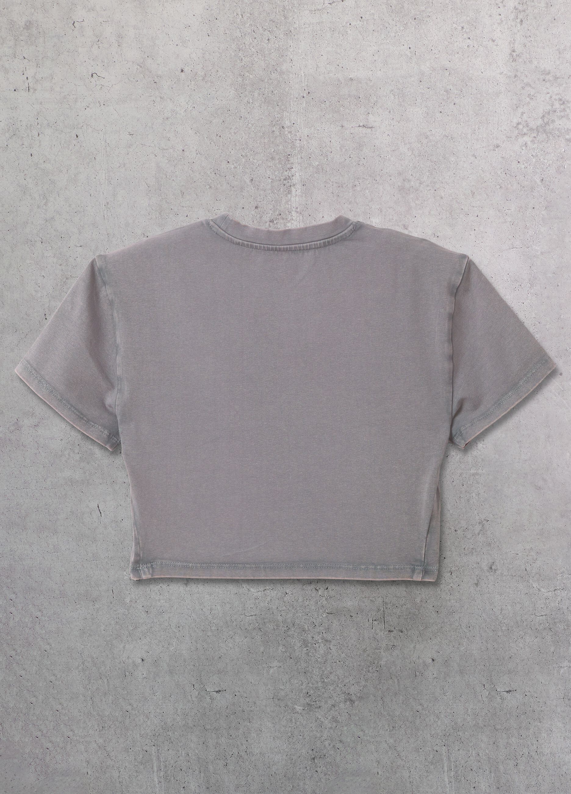 Vintage Grey Crop T-Shirt